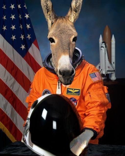 Content amplification donkey in a spacesuit