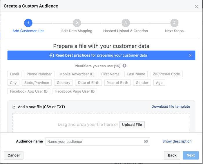facebook custom audiences csv file fields