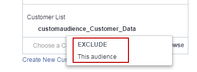 Facebook advertising cost exclude audience