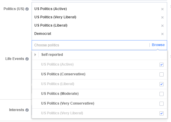 Facebook audience example of targeting political affiliations 