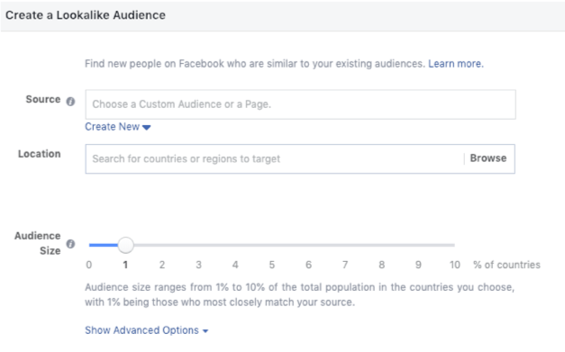 Facebook Lead Ads vs. Landing Pages Audience