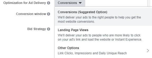 Facebook objectives ad delivery setting