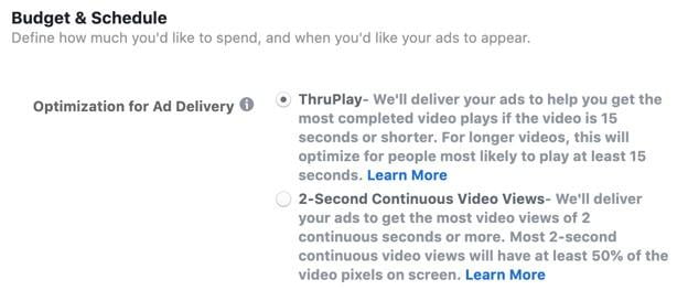 Facebook video views campaign options: budgets and scheduling