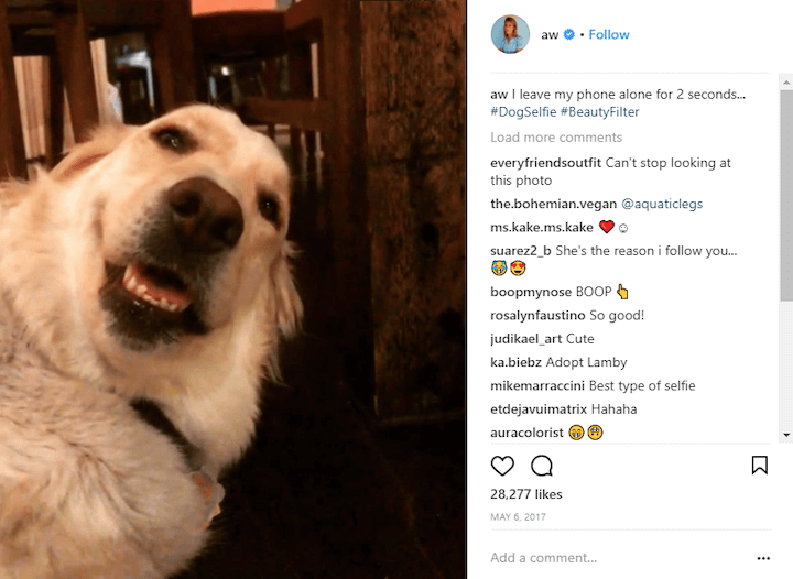 dog selfie instagram caption example