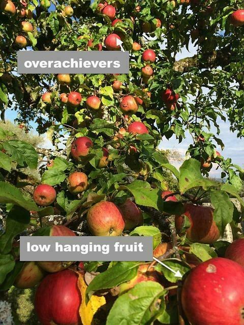 low hanging fruit