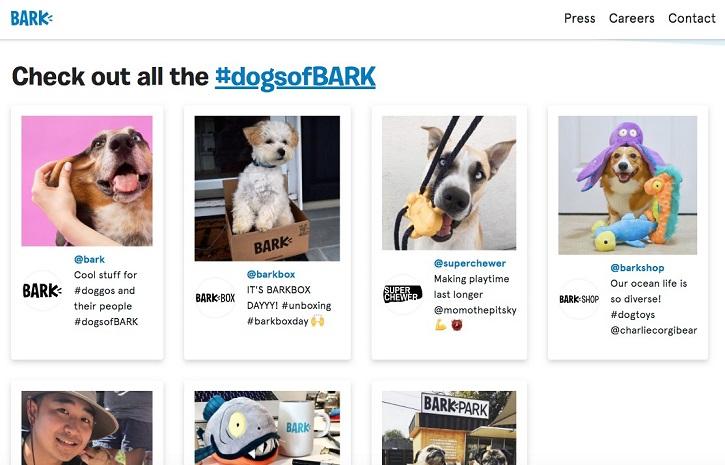Bark startup landing page